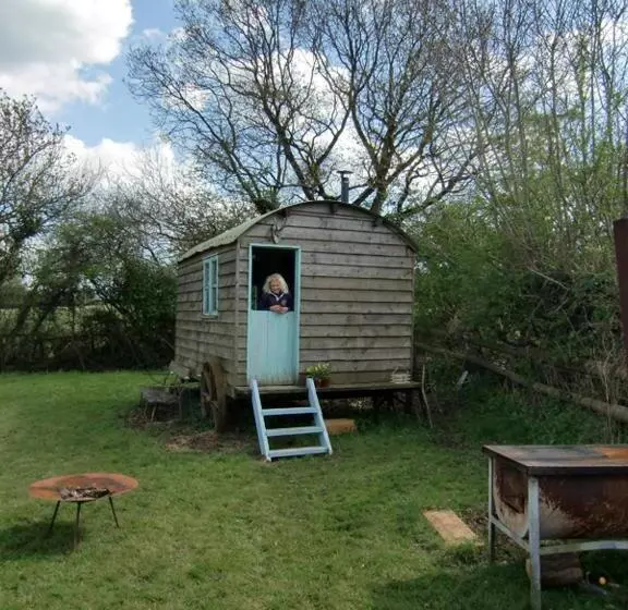 ホテル Mollies Hut