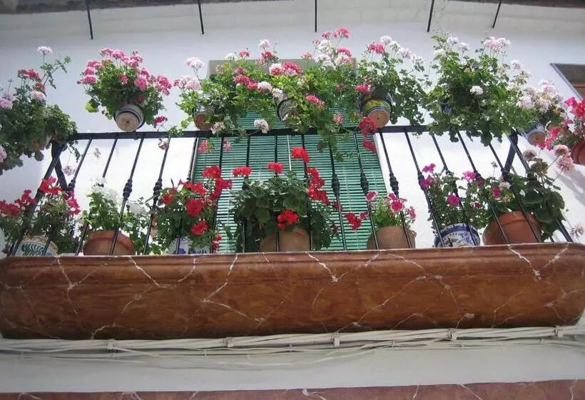 Majatalo Casa Rural La Villa