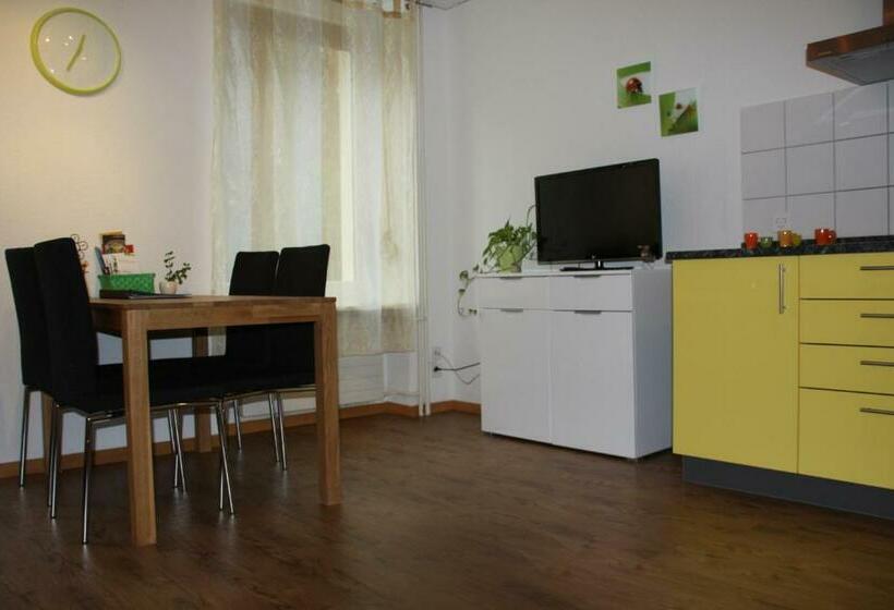 פנסיון Guesthouse Casa Esperanza Basel