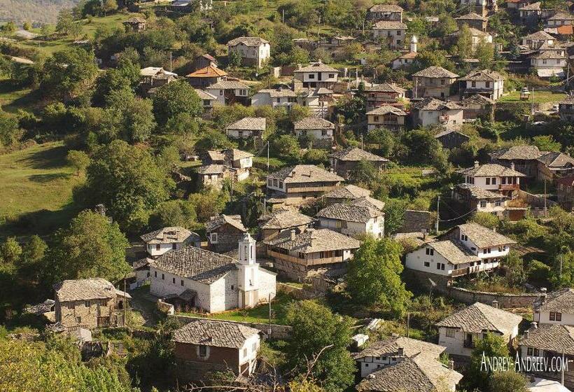 펜션 Sharkov Guest House