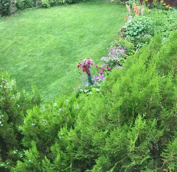 펜션 Sharkov Guest House