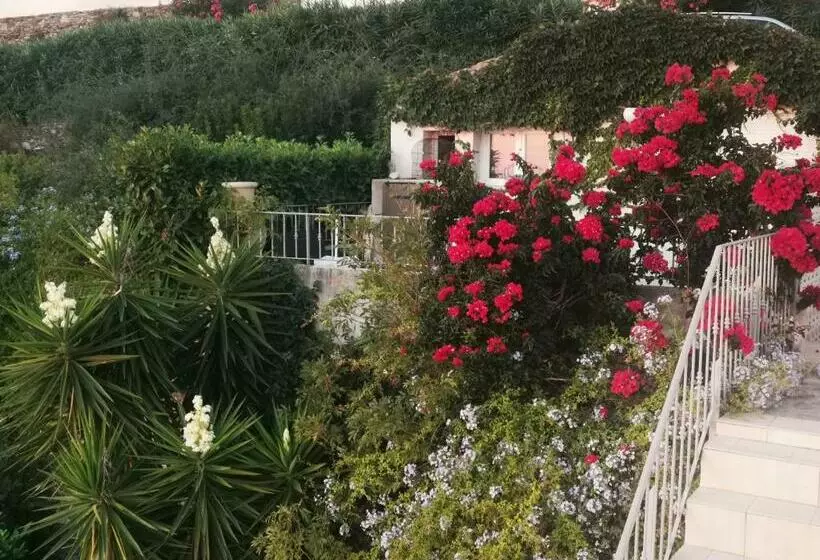 پانسیون Villa Patrizia