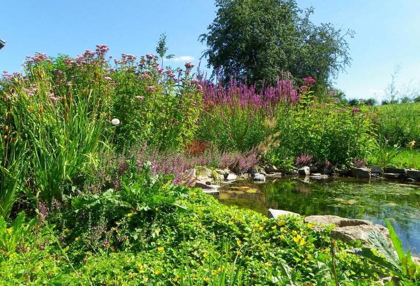 B&b Au Bord De La Source