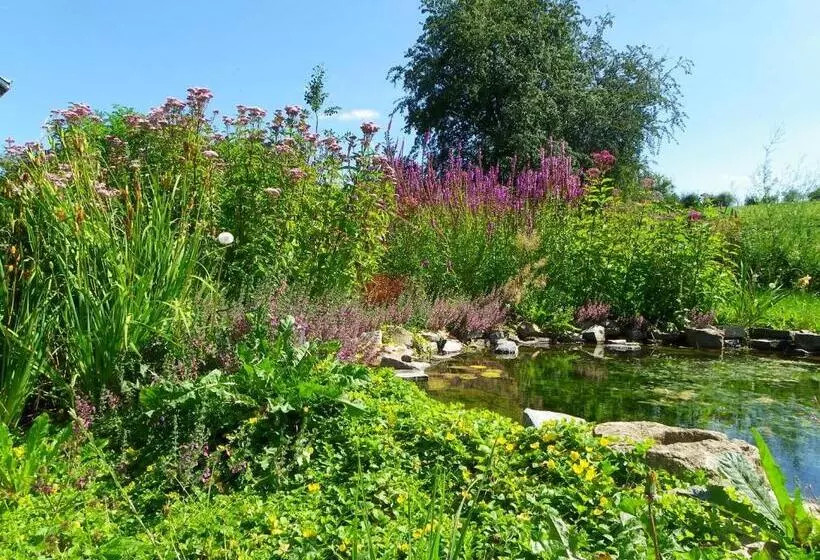 B&b Au Bord De La Source