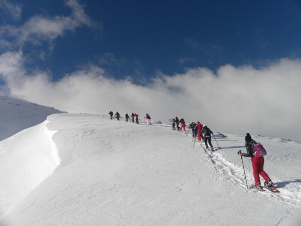 住宿加早餐  Affittacamere S Ortensia