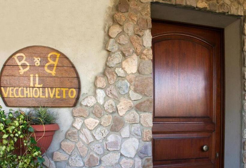 住宿加早餐  Il Vecchioliveto Di Ornella