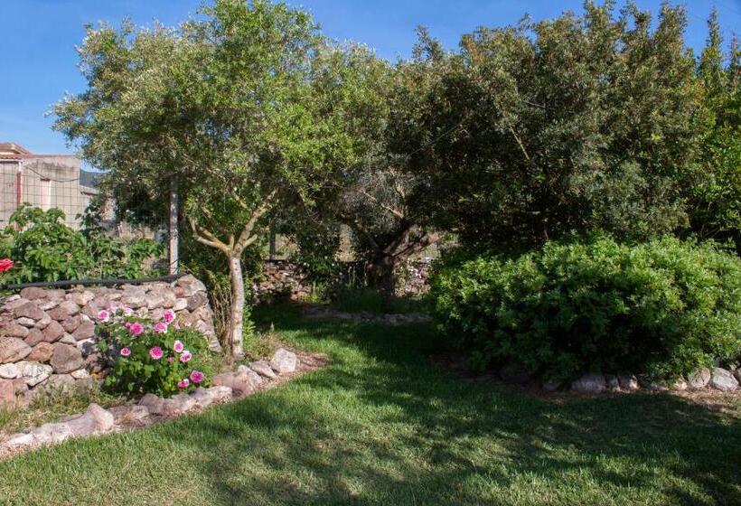 住宿加早餐  Il Vecchioliveto Di Ornella