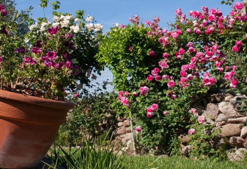 住宿加早餐  Il Vecchioliveto Di Ornella