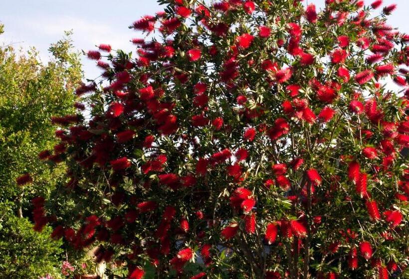 住宿加早餐  Il Vecchioliveto Di Ornella