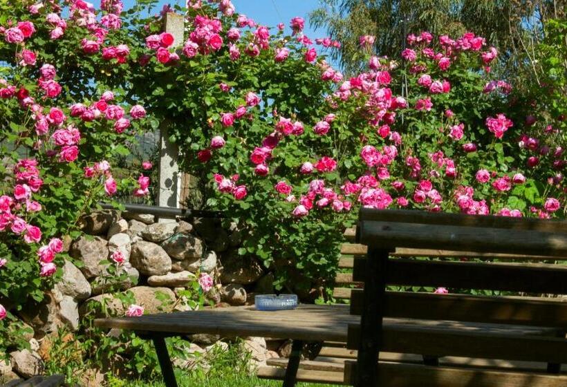 住宿加早餐  Il Vecchioliveto Di Ornella