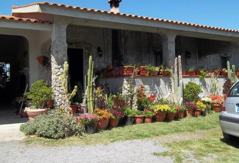 住宿加早餐  Il Vecchioliveto Di Ornella