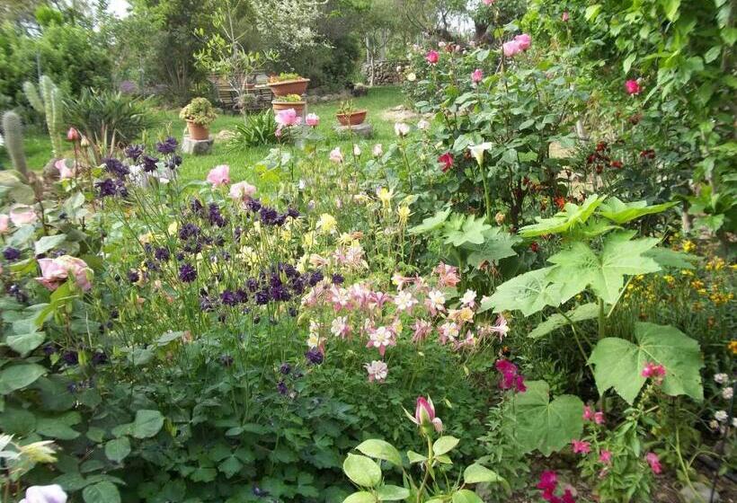 住宿加早餐  Il Vecchioliveto Di Ornella