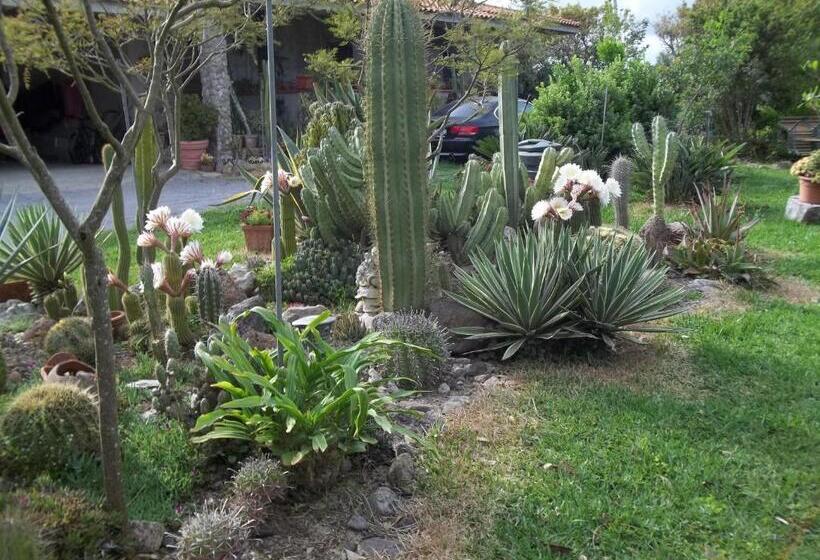 住宿加早餐  Il Vecchioliveto Di Ornella