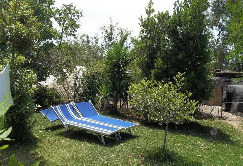 住宿加早餐  Il Vecchioliveto Di Ornella