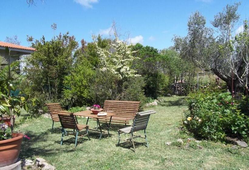 住宿加早餐  Il Vecchioliveto Di Ornella