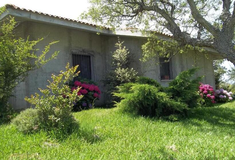 住宿加早餐  Il Vecchioliveto Di Ornella