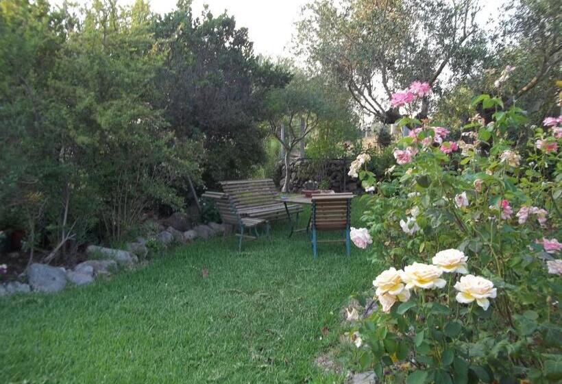 住宿加早餐  Il Vecchioliveto Di Ornella