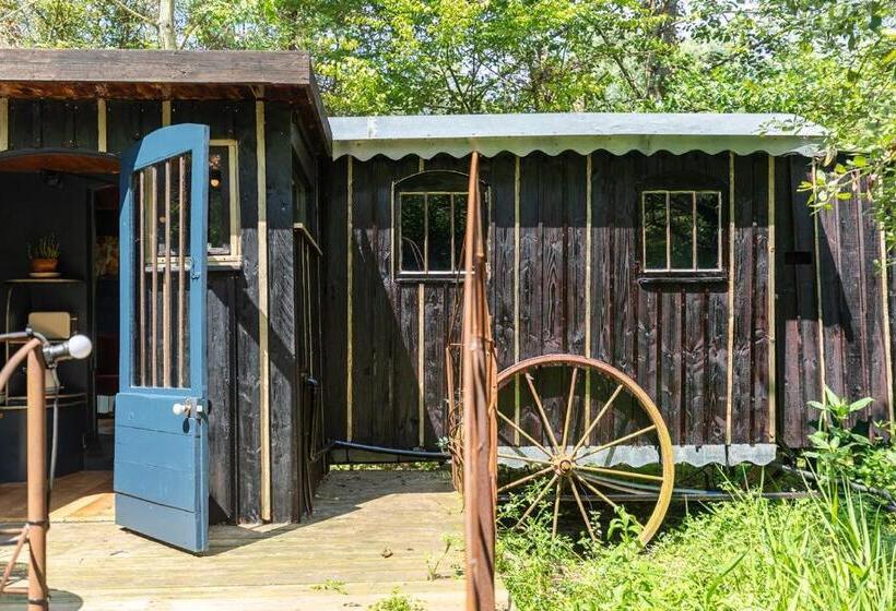 ベッドアンドブレックファースト Les Cabanes Des Marais