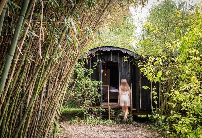 ベッドアンドブレックファースト Les Cabanes Des Marais