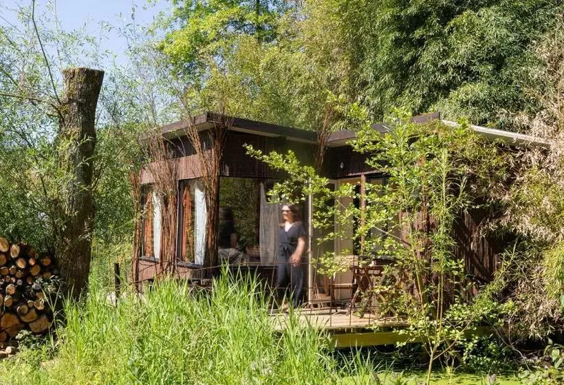 ベッドアンドブレックファースト Les Cabanes Des Marais