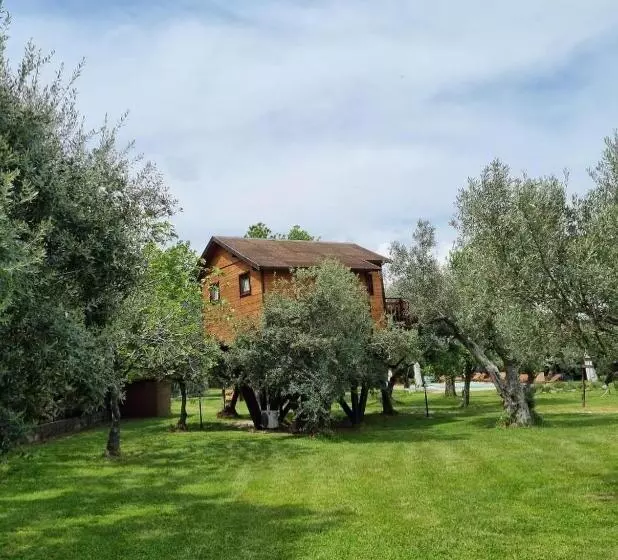 Aamiaismajoitus (B&B) Palazzo Conforti Tree House Resort