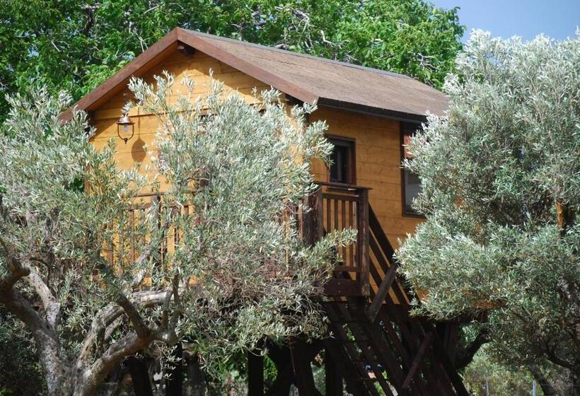 مبيت وإفطار Palazzo Conforti Tree House Resort