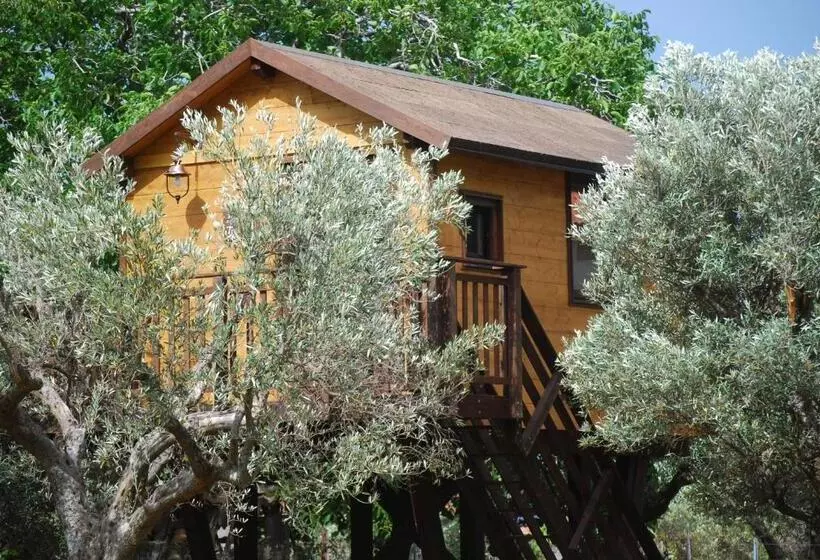 Aamiaismajoitus (B&B) Palazzo Conforti Tree House Resort