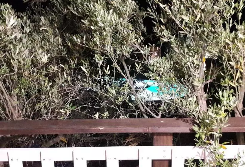 Aamiaismajoitus (B&B) Palazzo Conforti Tree House Resort