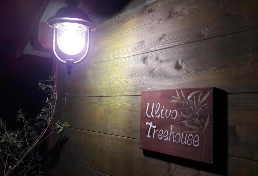 مبيت وإفطار Palazzo Conforti Tree House Resort