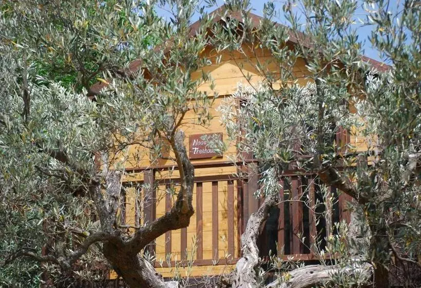 Aamiaismajoitus (B&B) Palazzo Conforti Tree House Resort
