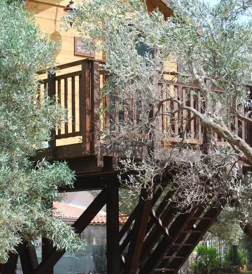 Aamiaismajoitus (B&B) Palazzo Conforti Tree House Resort