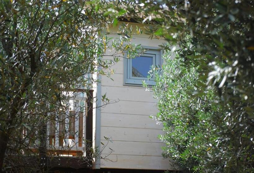 مبيت وإفطار Palazzo Conforti Tree House Resort