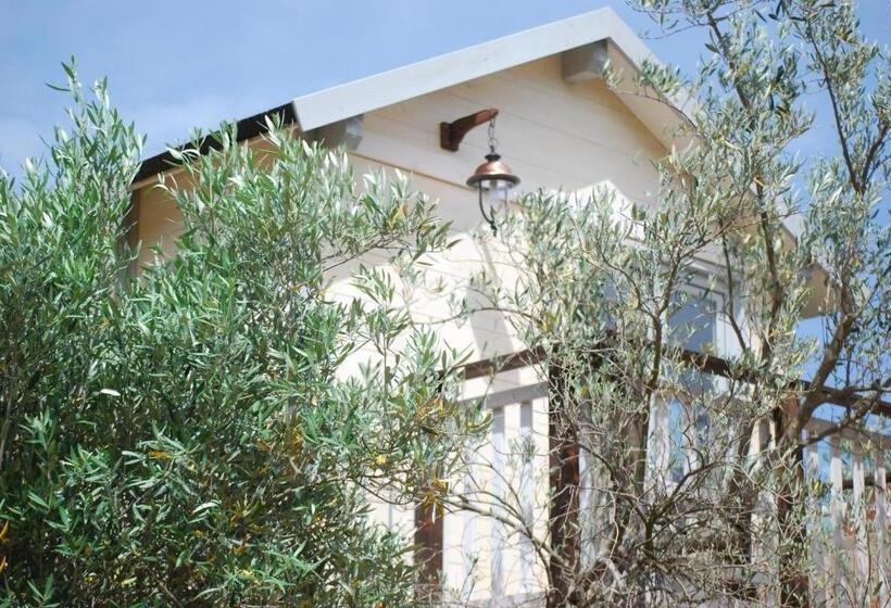 مبيت وإفطار Palazzo Conforti Tree House Resort