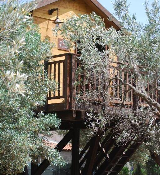مبيت وإفطار Palazzo Conforti Tree House Resort