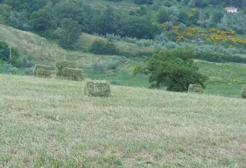 ホテル Agriturismo Collomici