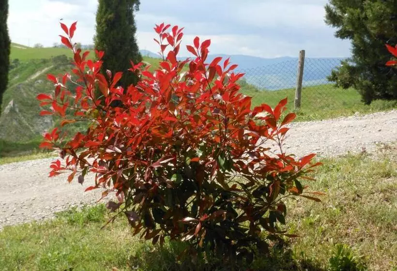 ホテル Agriturismo Collomici