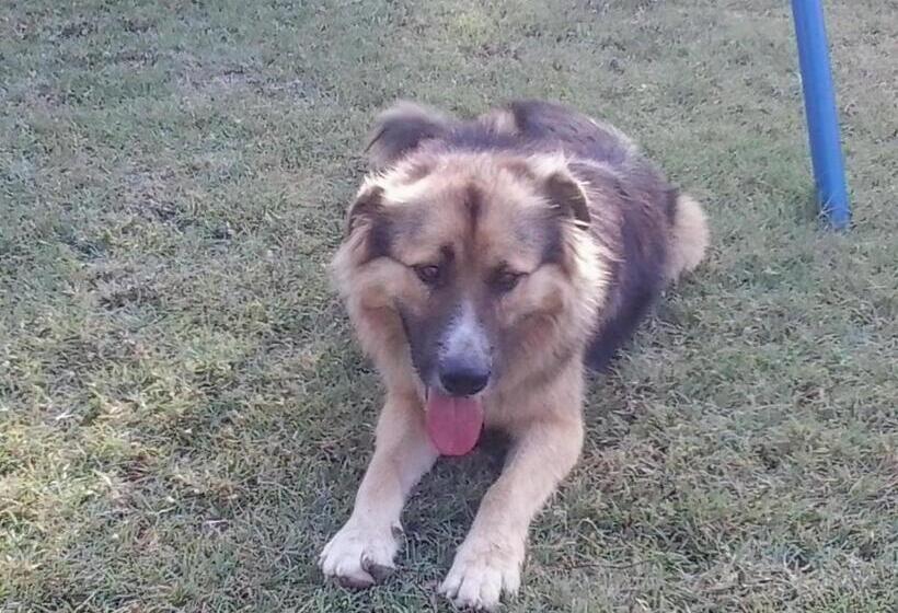 酒店 Agriturismo Collomici