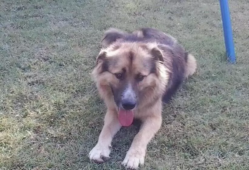 ホテル Agriturismo Collomici