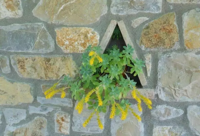 ホテル Agriturismo Collomici