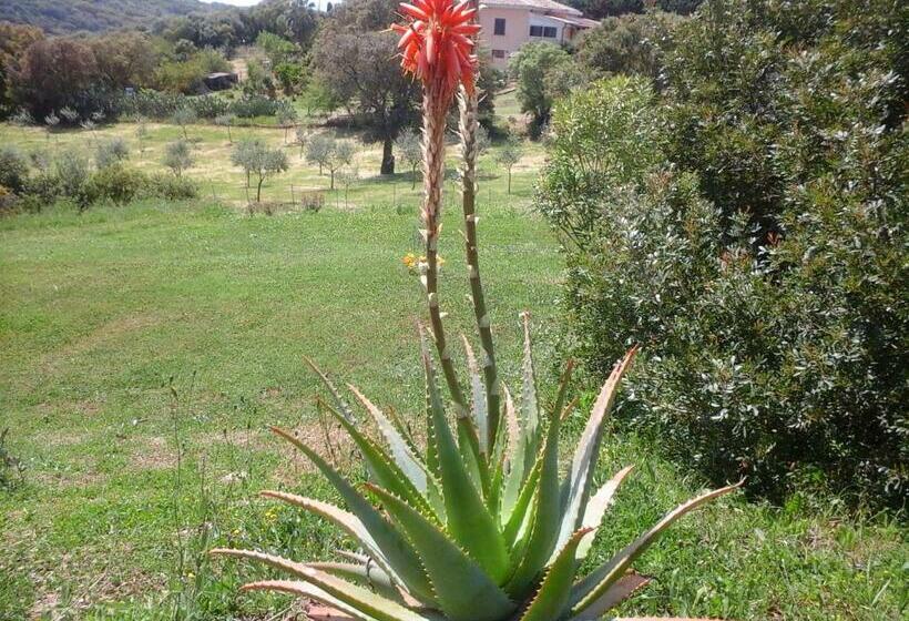 Pension Affittacamere Valverde Di Pittalis Francesco