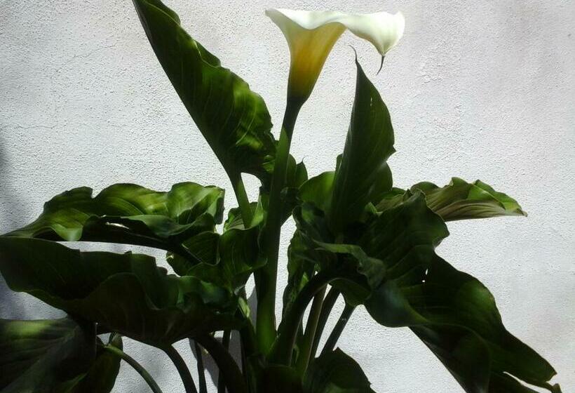 Pension Affittacamere Valverde Di Pittalis Francesco