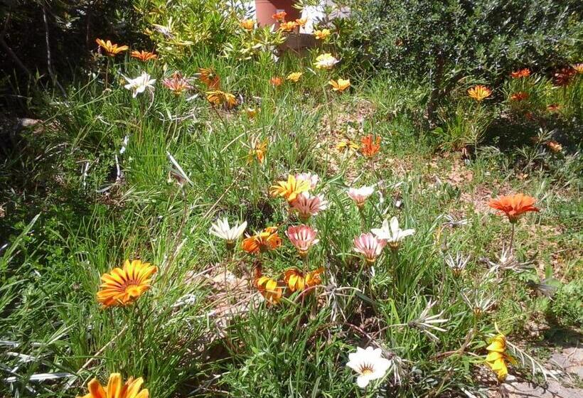 Pension Affittacamere Valverde Di Pittalis Francesco