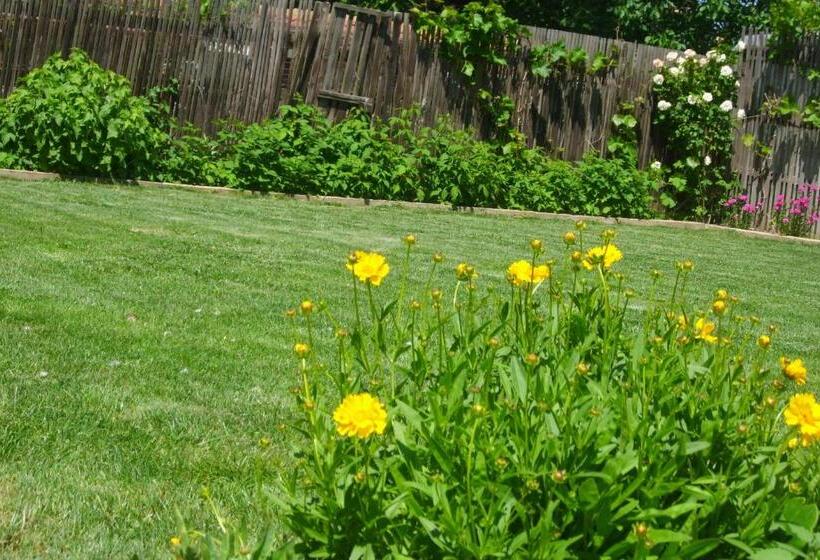 پانسیون Elida Guest House