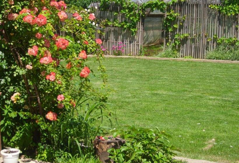 پانسیون Elida Guest House