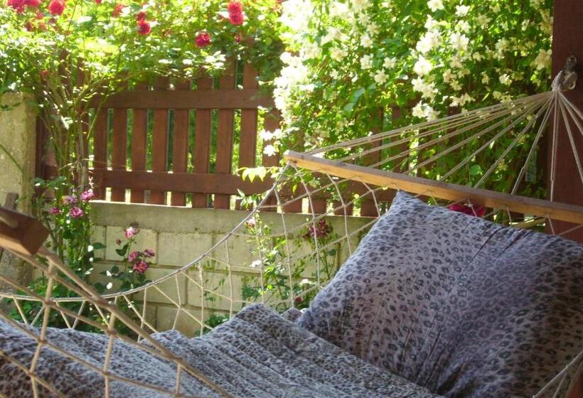 پانسیون Elida Guest House