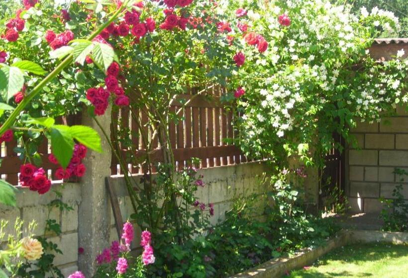 پانسیون Elida Guest House