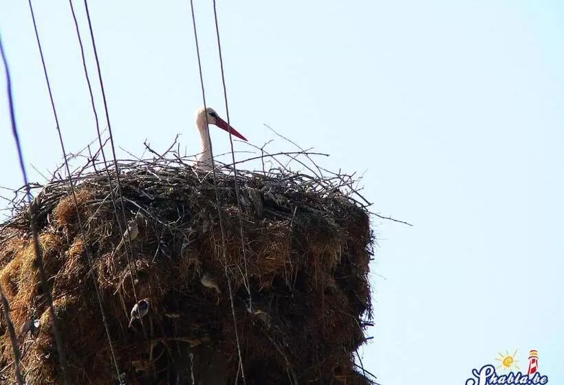 Majatalo Elida Guest House