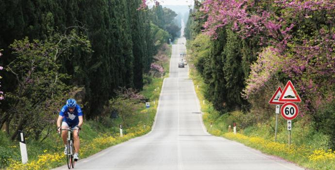 膳宿费 Il Chiassetto Bolgheri