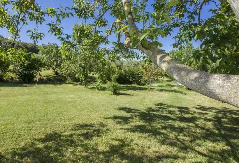 ペンション Isola Delle Api