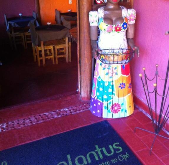 ペンション Pousada Pepalantus